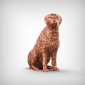 Curly-Coated Retriever Dog 3D Print Model Pose 06