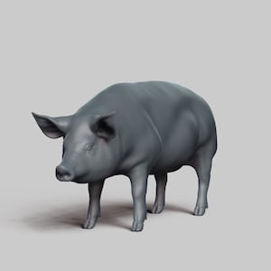 Varken STL-bestand 3D Print Model Pose 03