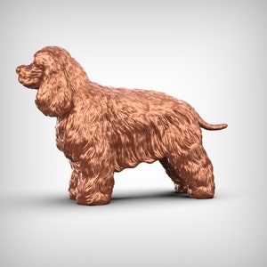 American Cocker Spaniel 3D Print Model Pose 03