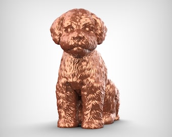 Bichon Frise Dog 3D Print Model Pose 05