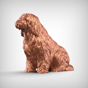 Bearded Collie 3D Print Model Pose 04
