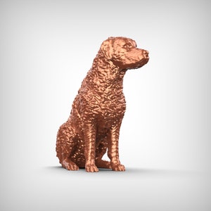 Curly-Coated Retriever Dog 3D Print Model Pose 05
