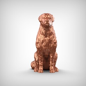 Anatolian Shepherd Dog 3D Print Model Pose 04