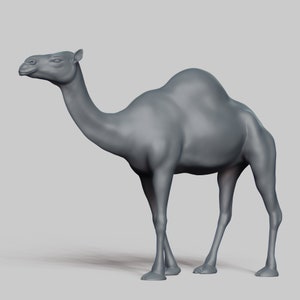 Camel STL File 3D Print Model Pose 03