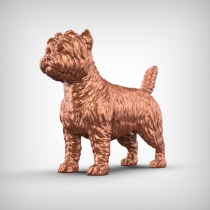Cairn Terrier Dog 3D Print Model Pose 01
