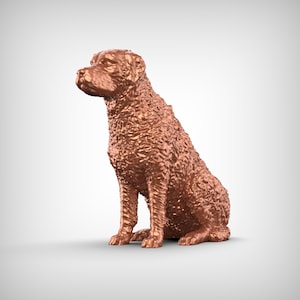 Curly-Coated Retriever Dog 3D Print Model Pose 04
