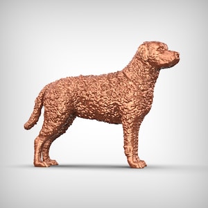 Curly-Coated Retriever Dog 3D Print Model Pose 03