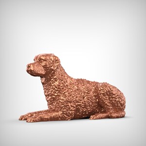Curly-Coated Retriever Dog 3D Print Model Pose 08