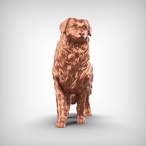 Australian Shepherd Dog 3D Print Model Pose 02