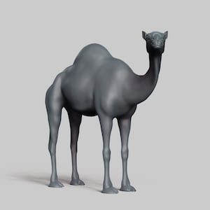 Kameel STL-bestand 3D Print Model Pose 02