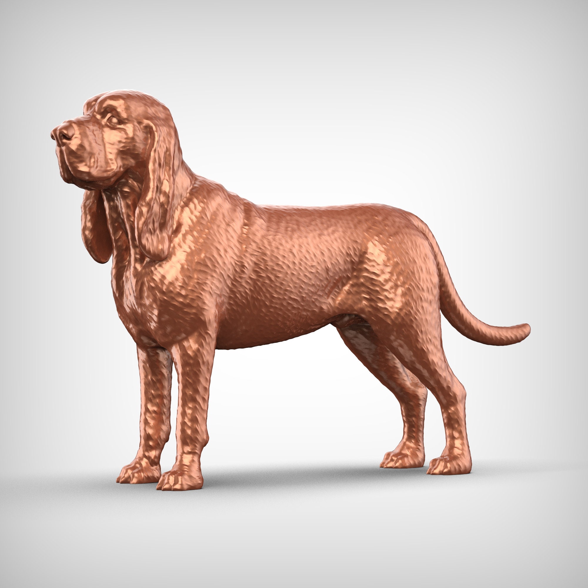 HOUND DOG 19802005 BLUE BOX/HOUND DOG Amazon.co.jp: HOUND DOG