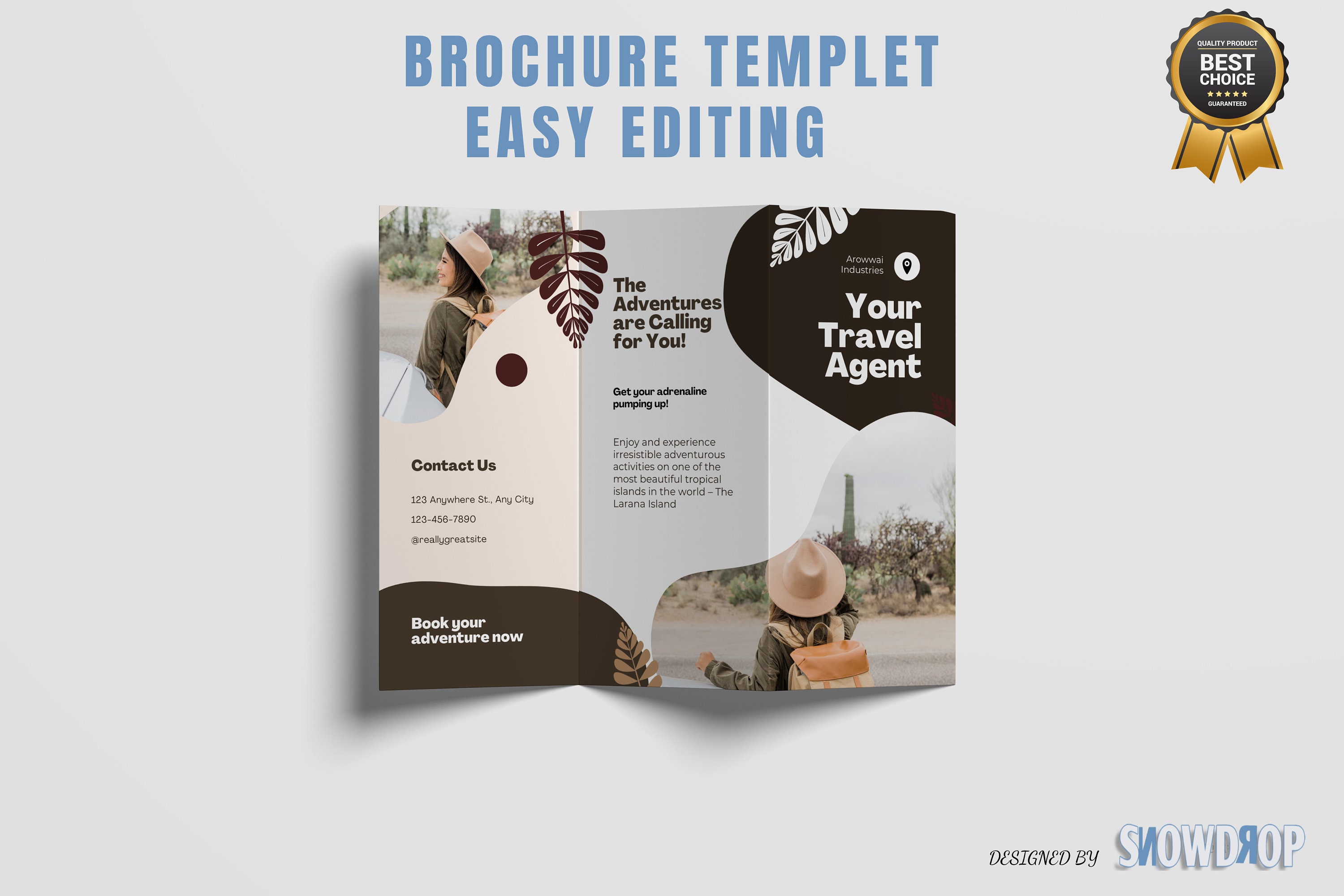 Editable Tri-fold Brochure Template, Printable Brochure Layout, Trifold ...