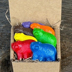 Crayons de couleur ours - Prêts à offrir dans une boîte kraft
