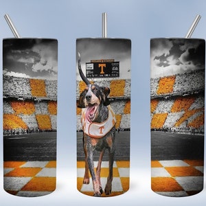 Sports football tumbler ready to press tumbler sublimation transfer 20 oz straight and tapered tumblers