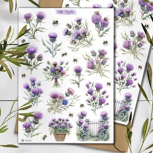 Stickers chardon. Sticker fleurs de chardon-Marie. Pack d'autocollants fleurs sauvages. Sticker Ecosse. Sticker chardon-Marie transparent. Bullet Journal