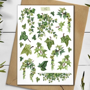 Op de afbeelding: Een rechthoekig stickervel met diverse illustraties van groene klimopbladeren en ranken. Het vel bevat individuele bladeren en trossen gebladerte in verschillende tinten groen, met het woord Ivy bovenaan in het midden gedrukt.