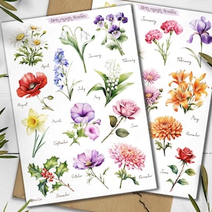 Adesivos de flores do mês de nascimento. Flor de nascimento. Pacote de adesivos de flores silvestres. Adesivos do ano em flores. Adesivo botânico do mês de nascimento. Scrapbooking