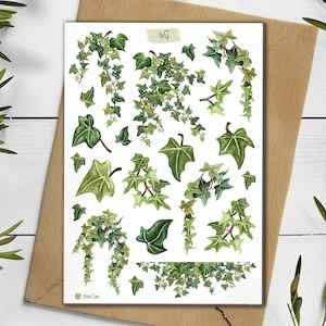 Klimopstickers. Stickerpakket groene klimop. Plantvakantiestickers. Bullet Journal, stickervel klimop. Aquarel Poison Ivy-sticker.
