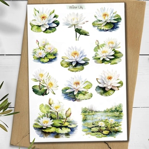 Adesivos de nenúfar. Adesivo de flores de nenúfar. Adesivos de flor de lótus. Adesivos de flor de lagoa. Adesivo de flor branca. Bullet Journal