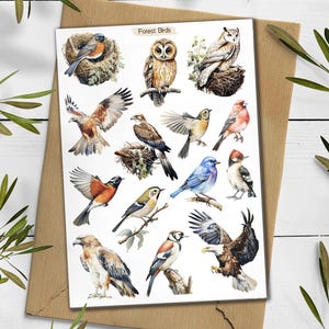 Stickers oiseaux forestiers. Pack d'autocollants oiseaux. Stickers oiseaux sauvages. Bullet Journal des oiseaux du jardin. Feuille d'autocollants Woodland. Scrapbooking