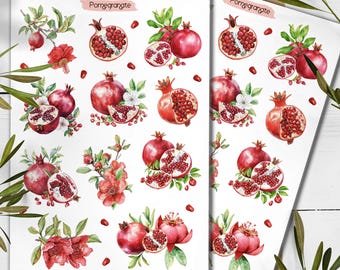Pomegranate Sticker Sheet. Summer Fruit Stickers. Planner, Scrapbooking Stickers
