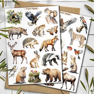 Adesivos de animais da floresta. Pacote de adesivos de floresta. Adesivos de animais selvagens. Diário de marcadores. Folha de adesivos de floresta. Scrapbooking