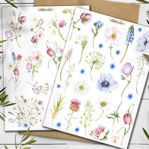 Pegatinas de flores silvestres. Flor de nacimiento. Paquete de pegatinas de flores silvestres. Pegatinas de ramos de verano. Pegatina botánica del mes de nacimiento. Scrapbooking.