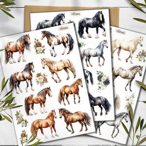 Pferde Sticker. Tier Sticker. Pferd Sticker Pack. Reiter Sticker. Bullet Journal. Planer Sticker, Bauernhoftiere. Scrapbooking