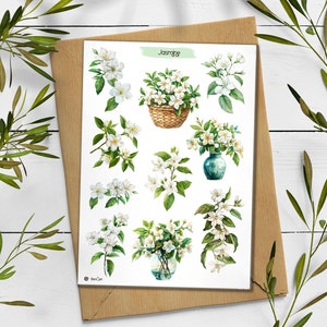 Jasmin Aufkleber. Jasmin Blumen Aufkleber. Wildblumen Sticker Pack. Frühlings-Aufkleber. Jasminblüten. Bullet Journal