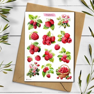 Pegatinas de frambuesa. Pegatinas Cottagecore de frambuesa. Verano de frambuesa. Bullet Journal.. Pegatina del planificador rojo. Frambuesas Scrapbooking