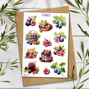 Pegatinas de higos. Hoja de pegatinas de higos. Pegatinas de frutas de verano. Bullet Journal. Pegatinas de bayas para planificador. Scrapbooking