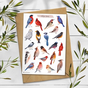 Stickers oiseaux d'hiver. Stickers aquarelle animaux. Stickers oiseaux. Autocollants Robbin. Bullet Journal, autocollants pour agenda.