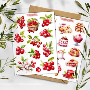 Adesivos de Cranberry. Folha de adesivos de Cranberry. Frutas silvestres forrageadas. Adesivo de verão. Diário de marcadores. Adesivo de planejador de frutas silvestres. Scrapbooking