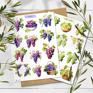 Pegatinas de uvas. Hoja de pegatinas de uvas blancas. Pegatina de verano recolectado. Bullet Journal. Pegatina de uva para planificador. Scrapbooking