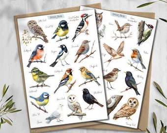 British Garden Birds Stickers: Planner, Journal, Scrapbooking