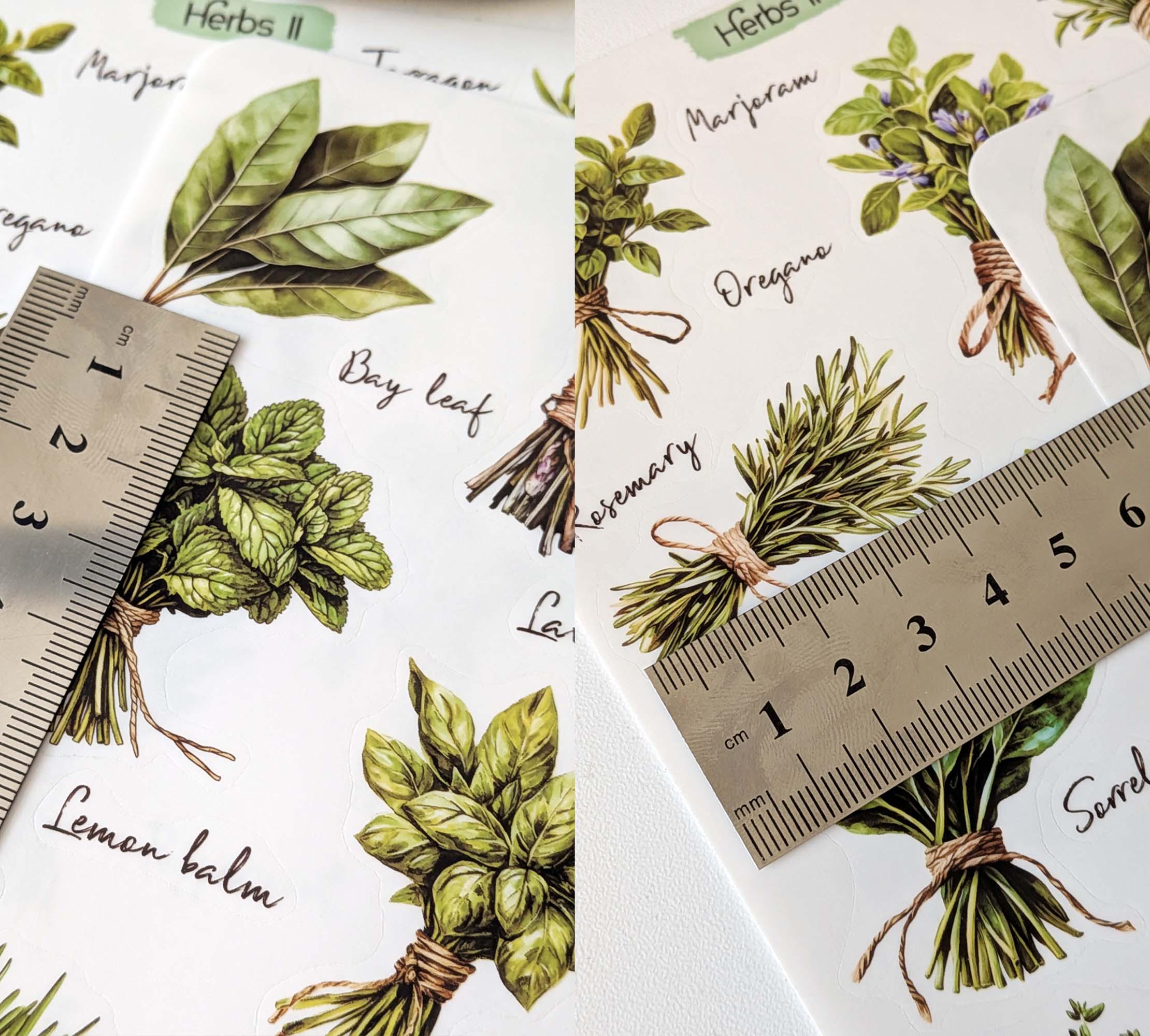 Herbs Stickers. Cottagecore Scrapbook Planner Stickers. Kitchen Spices ...
