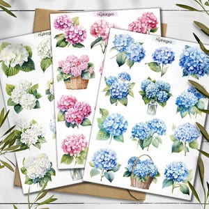 Stickers hortensias. Stickers hortensias blancs. Stickers fleur d'hortensia bleu. Stickers fleurs d'été. Bullet Journal. Scrapbooking jardin