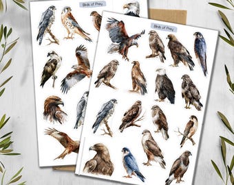 Birds of Prey Stickers. Predatory Birds Stickers for Planner, Journal, Scrapbooking