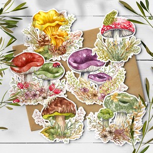 Pilz Aufkleber. Waldpilz Sticker. Aufkleber Herbst. Bullet Journal, Waldland Sticker. Florale Aufkleber