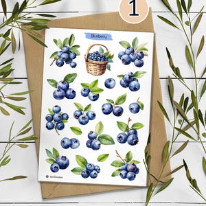 May include: A sticker sheet featuring watercolor illustrations of blueberries, including individual berries, clusters with green leaves, and a woven basket filled with blueberries. The text "Blueberry" is printed in blue at the top center.