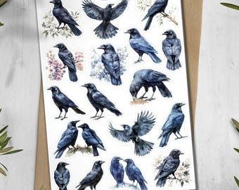 Raven Stickers. Crow stickers. Birds Planner Stickers. Scrapbooking stickers