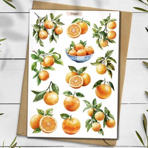 Oranges Stickers. Orange Cottagecore Stickers. Citrus Summer Stickers. Bullet Journal. Yellow Planner Sticker. Scrapbooking