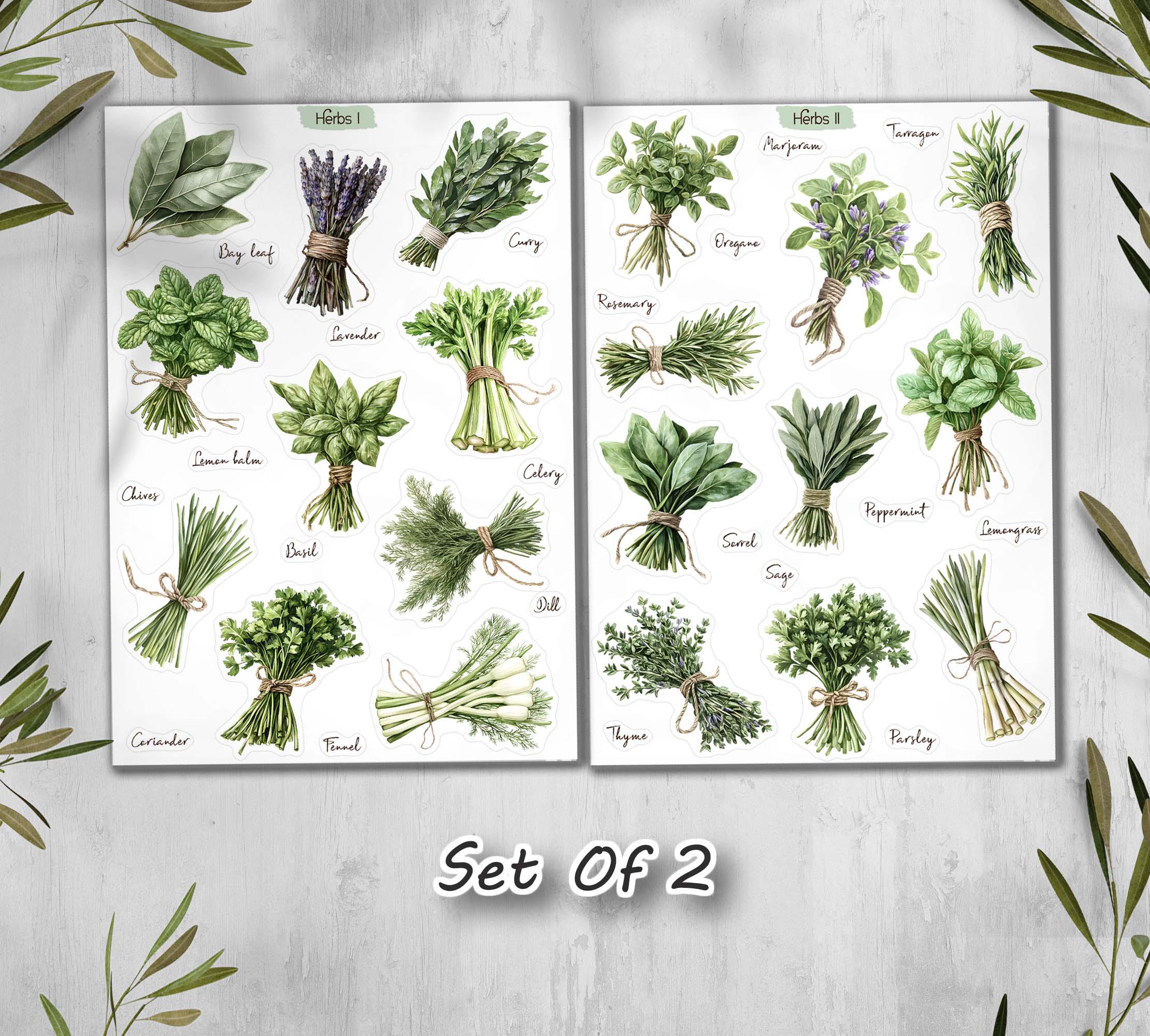 Herbs Stickers. Cottagecore Scrapbook Planner Stickers. Kitchen Spices ...