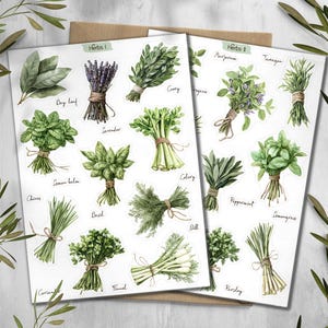 Op de afbeelding: Twee witte vellen met aquarel illustraties van verschillende kruiden, waaronder laurierblad, lavendel, basilicum en dille. De tekst "Herbs I" en "Herbs II" staat bovenaan elk vel. De kruiden zijn met touw gebonden.