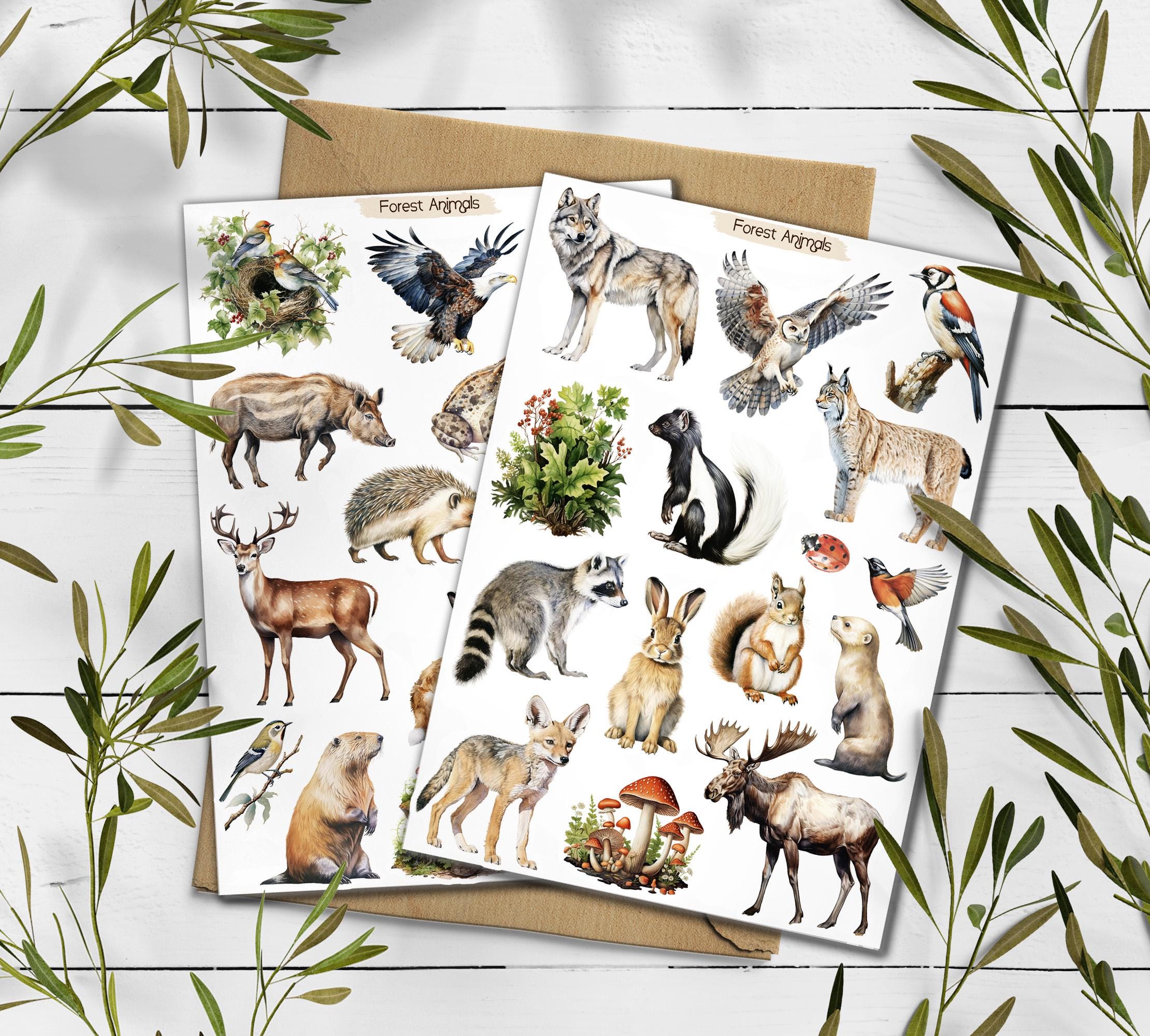 Forest Animals Sticker Pack: Woodland Scrapbooking Stickers - Etsy