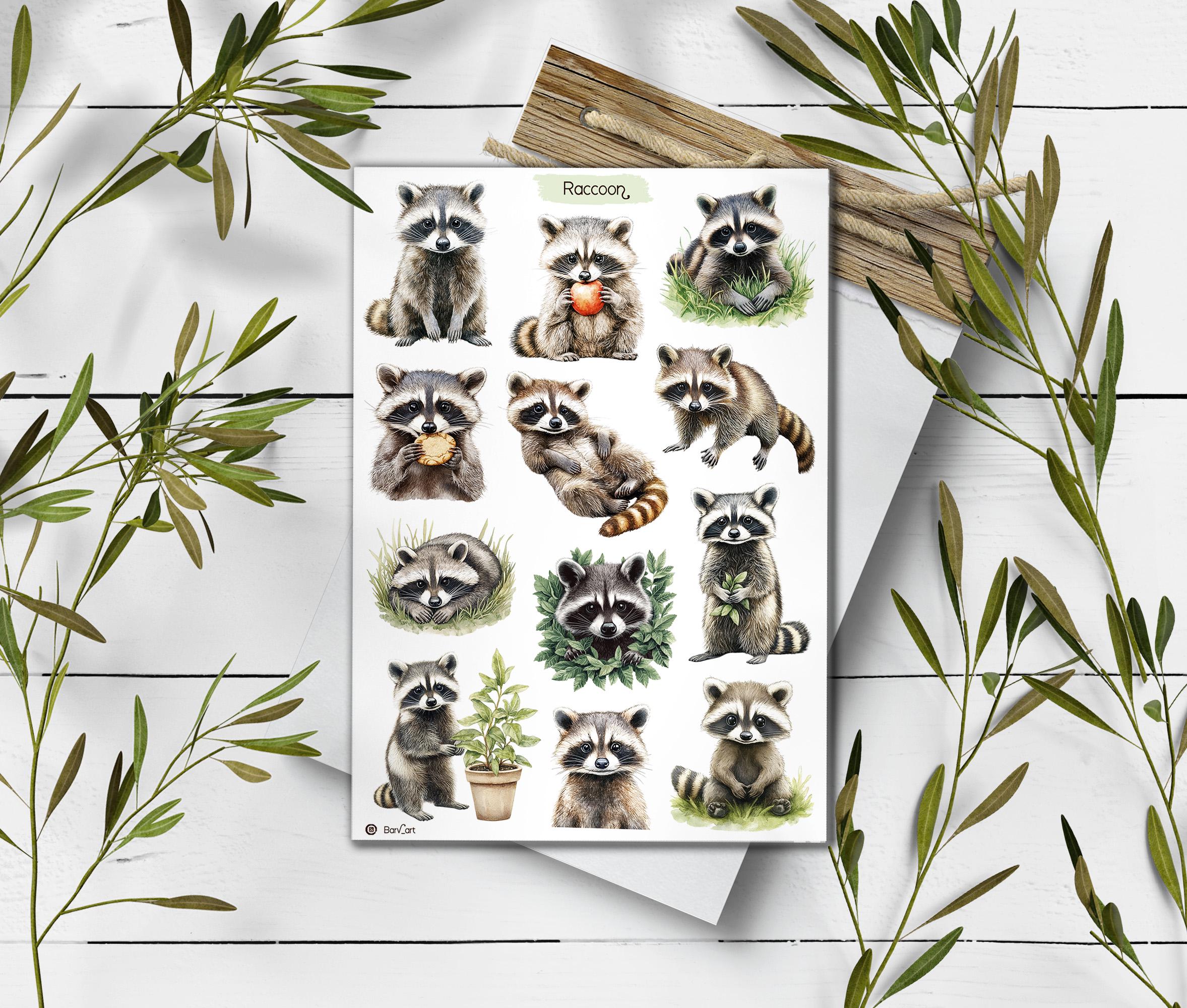 Shoe Rack Raccoon Sticker Raccoon Stickers. Cute Raccoon Sticker Sheet. Forest Animal ...