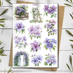 Clematis Aufkleber. Clematis Aufkleber. Wildblumen Sticker Pack. Juni Sommer Aufkleber. Clematis Blumen. Bullet Journal, Scrapbooking