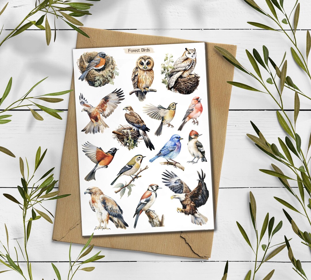 Forest Birds Stickers. Birds Sticker Pack. Wild Birds Stickers. Garden ...