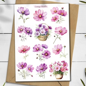 Stickers fleurs cosmos. Sticker fleurs cosmos. Pack d'autocollants fleurs sauvages. Stickers printaniers. Autocollants cosmos. Bullet Journal