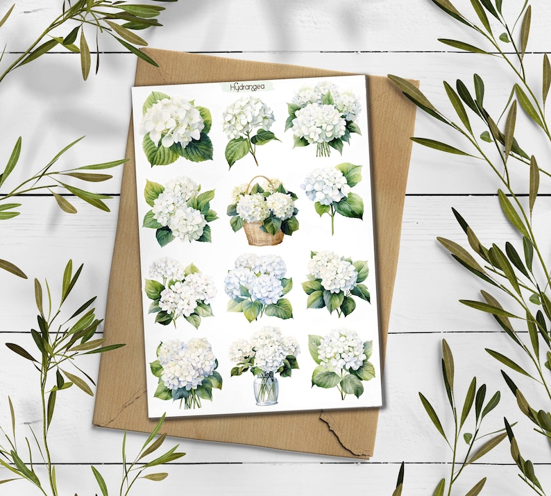 Hydrangea Stickers. White Hydrangea Stickers. Blue Hydrangea Flower ...